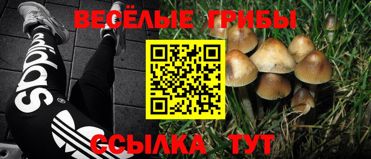 Псилоцибиновые грибы GOLDEN TEACHER Нижнеудинск