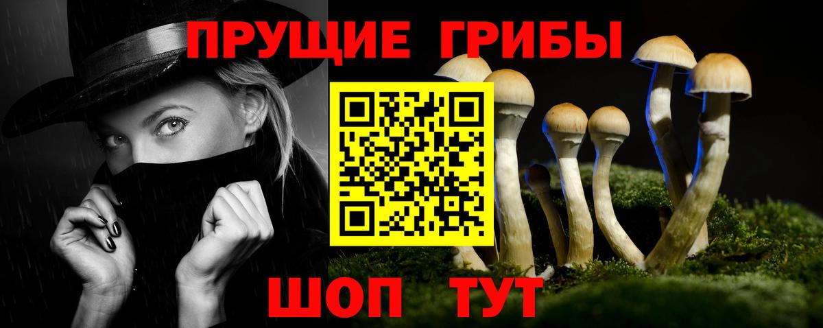 Псилоцибиновые грибы Psilocybine cubensis  Псилоцибиновые грибы прущие грибы  Вход с VPN  Нижнеудинск 