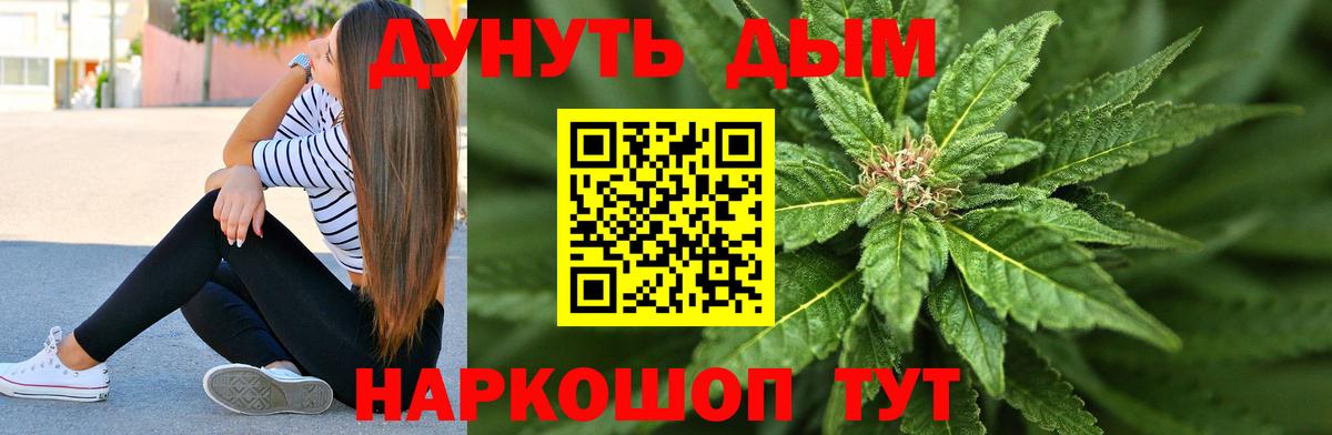 Каннабис планчик  Канабис конопля  Нижнеудинск  Вход с VPN  МАРИХУАНА гибрид  Марихуана OG Kush 